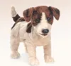 Folkmanis 2848, Handpuppe, Tier, 1 Stück(e) Produktbild-Vorschau 8