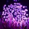 Purple LED string lights are woven through tall grass in the dark. Produktbild-Vorschau