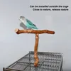 Siège en bois pour oiseaux en forme de T, grincement de Voir les images du produit 5