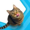 Perfect Fit Adult 1+ Trockenfutter für erwachsene Katzen Produktbild-Vorschau 4