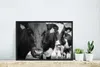 MuchoWow® MuchoWow® Gerahmtes Poster Kuhzunge 60x40 cm - Produktbild-Vorschau 4
