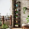 A tall, narrow corner shelf unit filled with plants on a balcony with a stone wall background. Podgląd zdjęcia produktu