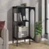 A modern black cabinet with glass doors, filled with books and decorative boxes, next to a sofa and a potted plant. Produktbild-Vorschau