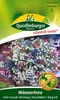 Quedlinburger Saatgut - Männertreu Color Cascade Mischung - Produktbild-Vorschau 3