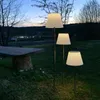 Decorazione solare a LED 'Solini', 30/50/90 cm, acciaio Anteprima dell’immagine prodotto 8