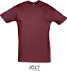 SOLs 11380 | Maglietta da uomo Regent 150 - Colore: Anteprima dell’immagine prodotto 1
