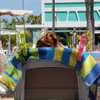 4x Handtuchklammer XXL Wäscheklammer Strandtuch Badetuch Produktbild-Vorschau 2