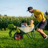 Wiltec Roue complète 4.00-8 pour Diable – 400 x 400 x 100 Voir les images du produit 8