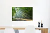 MuchoWow® Poster Frühling - Wald - Baum 60x40 cm - Produktbild-Vorschau 5