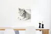 MuchoWow® Poster Liegende Katze, schräg nach vorne geneigt Produktbild-Vorschau 5