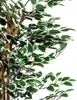 PLANTASIA Sztuczne drzewo figowe, 160 cm Podgląd zdjęcia produktu 5