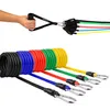 A hand holding a resistance band handle with multiple bands attached, and a coiled set of resistance bands in various colors. Náhled obrázku produktu