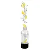 A clear product shot of a bottle with lemons and water splashing out. Produktbild-Vorschau