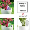 Scheurich Wasserspender Bördy XL | 3er Set Produktbild-Vorschau 1
