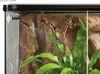 EXO TERRA Monsoon Multi - zraszacz automatyczny 8l Exo Podgląd zdjęcia produktu 3