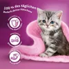 Whiskas Junior Trockenfutter für Kätzchen (2-12 Monate) mit Produktbild-Vorschau 8