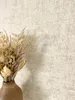 NEWROOM Tapete Topaz Beige Vliestapete - Modern Unifarbe Produktbild-Vorschau 1
