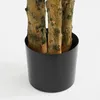 Mica Decorations Pachira Kunstplant - Kunstboom Watercacao Productafbeelding-voorbeeld 8