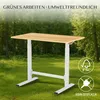 FLEXISPOT Gasfeder Höhenverstellbarer Schreibtisch 100×60 Produktbild-Vorschau 11
