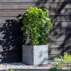 Capi Blumentopf Nature Rib Quadratisch 50 x 50 cm Anthrazit Produktbild-Vorschau 7