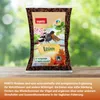 PANTO Rosinen 1kg - Wildvogelfutter Streufutter Produktbild-Vorschau 5
