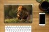 MuchoWow® Laptop Aufkleber Sticker Cover Sonnenaufgang - Produktbild-Vorschau 2