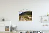 MuchoWow® Textilposter Schottische Highlander - Pfad - Wald Produktbild-Vorschau 2