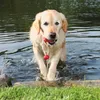 Trixie Dog Activity Aqua Toy MOT-Fun 9 cm Produktbild-Vorschau 3