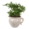 Vaso da fiori Clayre & Eef 20x17x15 cm Beige Black Ceramic Anteprima dell’immagine prodotto 4