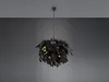 Lustre LEAVY noir et or, 4xE14x28W, métal, dimensions : Voir les images du produit 5