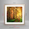 Gerahmtes Poster - Rahmen in heller Eiche - Wald Baum Natur Produktbild-Vorschau 5