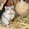 Relaxdays Hamster Zubehör Set 5 tlg., Grasröhre & 4 Bälle, Produktbild-Vorschau 5
