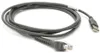 Zebra Verbindungskabel, USB Verbindungskabel, USB, 2,1m, Anteprima dell’immagine prodotto 1