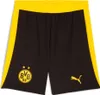 Puma BVB Shorts Replica w/ blocking - schwarz, Größe:XXL Produktbild-Vorschau 2