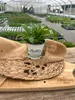 Enseleits 2x Borretsch,Borago officinalis,Gurkenkraut, Produktbild-Vorschau 3