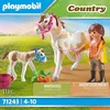 PLAYMOBIL Country Pferd mit Fohlen 71243 Produktbild-Vorschau 5