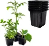 MIKONI Anzuchttöpfe | ■ 9 cm | 50 Stück | Pflanzschale Produktbild-Vorschau 1