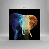 Bilder auf glas - Einteilig - Bunt Elefant Fotografie - Produktbild-Vorschau 3