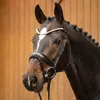 Passier Trense Favorite powered by Ingrid Klimke Produktbild-Vorschau 5