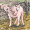Goki kubusraadsel: boerderijdieren Productafbeelding-voorbeeld 2