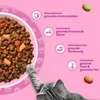 WHISKAS Junior Trockenfutter für Katzen 5 x 800g mit Huhn Produktbild-Vorschau 5