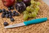 Arcos Kitesurf Safety Knife 188632-TURQUESA in Blue color Náhled obrázku produktu 5