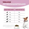 A size chart for dog food recommendations, featuring a dog and a bowl of food. Produktbild-Vorschau