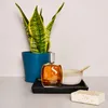 A bottle of hair oil, a potted plant, a bowl with a spoon, and a bar of soap are arranged on a surface. Produktbild-Vorschau