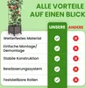 Pflanzkasten mit Rankhilfe 42x42xH200 cm Spalier 4 Ebenen Produktbild-Vorschau 5