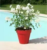 Pot de fleurs RIVIERA Soleilla - Rond - Ø 60 x 53,6 cm - Voir les images du produit 1