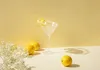Eva Solo Drinkglas Martini, Martiniglas, Martinischale, Produktbild-Vorschau 5