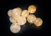 A string of LED lights with spherical bulbs. Produktbild-Vorschau