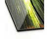 Glasbild Treetops Feng Shui 30x80 cm Produktbild-Vorschau 2
