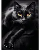 Pittura diamante Gatto nero 30x40 cm Anteprima dell’immagine prodotto 1